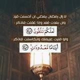 •°دِفْءُالقَلَم°• 《حَيْثُ▪︎للْقَلَمِ مُتَنَفَّس》