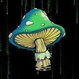 TON MUSHROOMs NFT.
