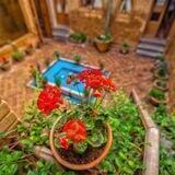 نوستالژی