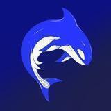 Bluca Official Announcement