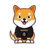 Richdoge English Group