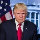Trump's Plans