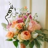 مملكتي🌸
