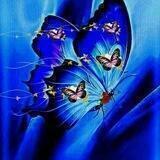 فــــــراشــة 🦋