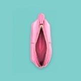 mildlyvagina