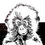 black_griffel