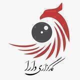 کارگزاری دارا
