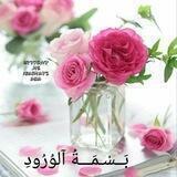 🌸بَــسْـمَـــةُ آلوُرُودِ🌸