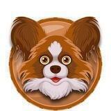 Papillon Token