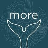 MORE