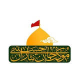 موکب جان نثاران حسینی(ع)