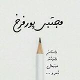مجتبی پورفرخ ✒