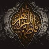 قناة_النجيب