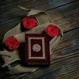 الْقُرْآن حَيَاة فَأَحْيُوا قُلُوبِكُم بِه 🦋🌱