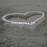 проверка сп.