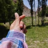 |حص تنهایی|