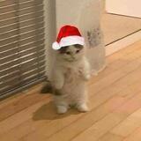 — 𝐒anta