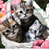 Музыкальные поздравления и красивые открытки🥰