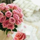 🌷ورد 💖 الياسمين🌷