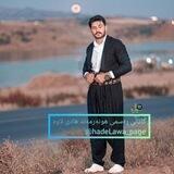 هادی لاوە