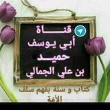 قناة أبي يوسف حميد بن علي الجمالي