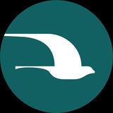 Musaffo Travel