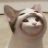 phඞrmඞcy