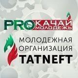 Молодёжная организация ПАО «Татнефть»