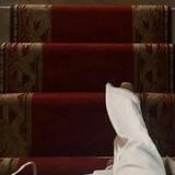 الجذع الطريّ