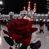درة ڪربلاء 🥀 ستوريات حسينيه 🥀 ستوريات انستا 🥀