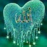 مــحــبــيــن عــلـي والــزهــراء ( عــلــيـهـما الــسـلام )