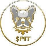 Pitbull Arabic