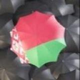 Настоящие паРОССОНЫ