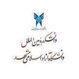 دانشکده بین الملل