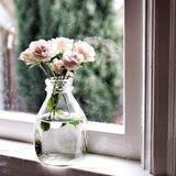 نافذة فرّح🕊💕.