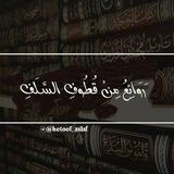 رَوَائِـع مِن قــ📜ــطُوف السَّـلَفِ