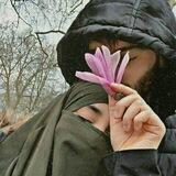 🌸I᥉ʟⲁᴍɪ᥉ᴋⲁʏⲁ🌸🌙
