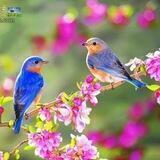🌞شکوه آفرینش🌞
