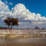 بارق القصيم 📸⛈