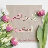 💎 إن من الشعر لحكمة 💎