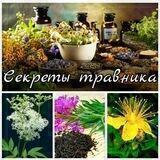 Секреты травника 🧙‍♂️ (лечение травами народная медицина целебные растения лекарственные травы зож здоровье знахарь лекарь)