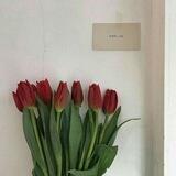 للهُ عمريَ .