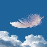 ﮼جرعه ﮼حياه🕊