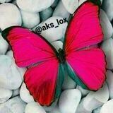 💗عکس،گیف،موزیک،بیو💗