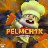 Pelmch1k Group🥟