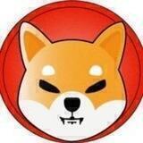 shibtoken community