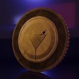 The Night Coin
