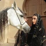 سمّا ‏.