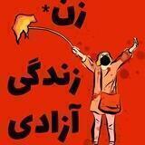 بهلول