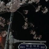 단지 완벽한 좋은 장소